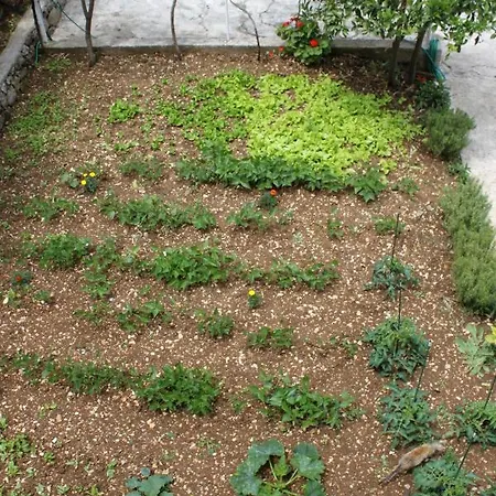 Διαμέρισμα With A Parking Space Cavtat, Dubrovnik - 8993 Mlini