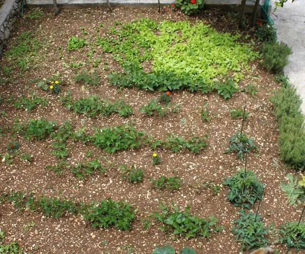 Lejlighed With A Parking Space Cavtat, Dubrovnik - 8993 Mlini