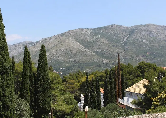 With A Parking Space Cavtat, Dubrovnik - 8993 Lejlighed